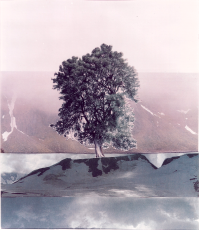 [Click to enlarge image]