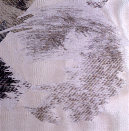 [Click to enlarge image]