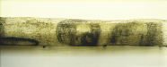 [Click to enlarge image]